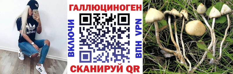 Псилоцибиновые грибы мухоморы  закладки  Ставрополь 