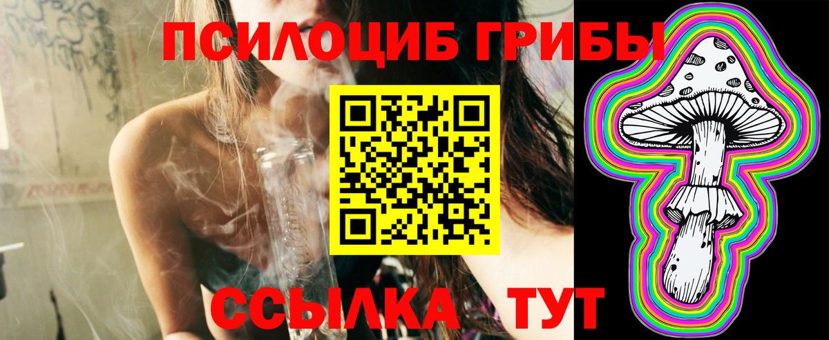 Галлюциногенные грибы Cubensis Ставрополь