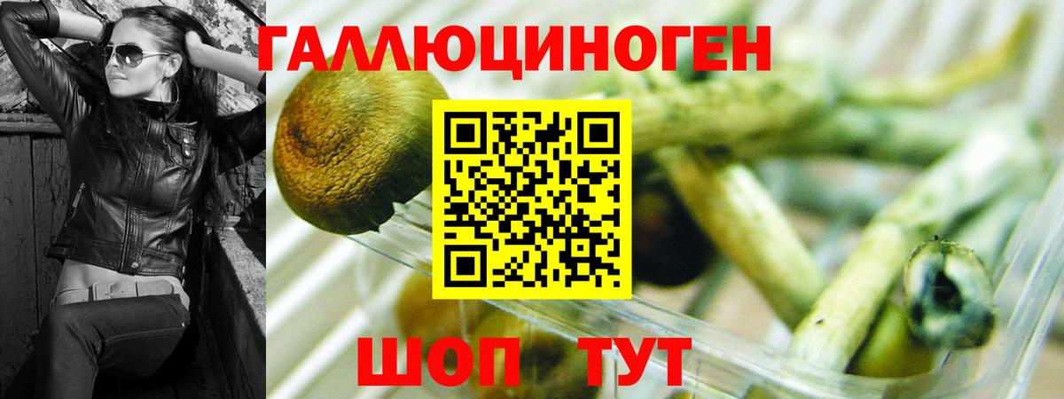 Псилоцибиновые грибы Cubensis  Псилоцибиновые грибы MAGIC MUSHROOMS  Вход с VPN  Ставрополь 