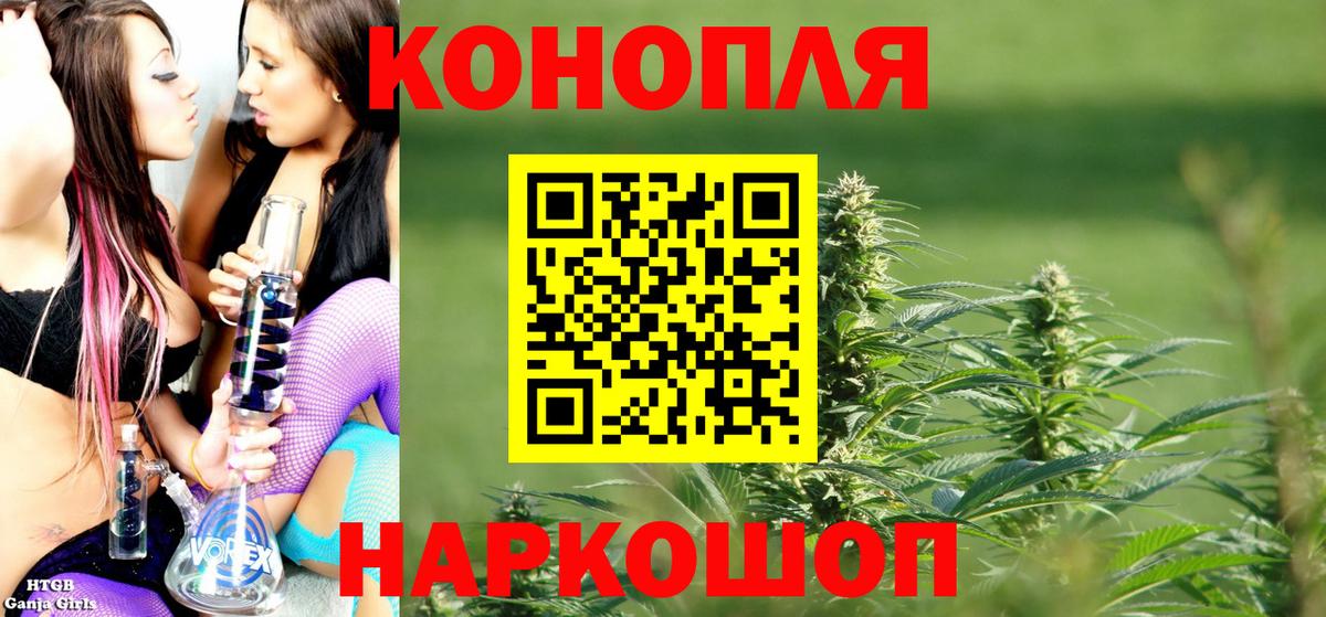 Каннабис OG Kush Ставрополь